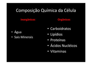 Composição Química da Célula
Inorgânicos
• Água
• Sais Minerais
Orgânicos
• Carboidratos
• Lipídios
• Proteínas
• Ácidos Nucléicos
• Vitaminas
 