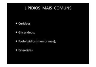 LIPÍDIOS MAIS COMUNS
• Cerídeos;
• Glicerídeos;
• Fosfolipídios (membranas);
• Esteróides;
 