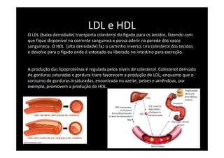 LDL e HDL
O LDL (baixa densidade) transporta colesterol do fígado para os tecidos, fazendo com
que fique disponível na corrente sanguínea e possa aderir na parede dos vasos
sanguíneos. O HDL (alta densidade) faz o caminho inverso, tira colesterol dos tecidos
e devolve para o fígado onde é estocado ou liberado no intestino para excreção.
A produção das lipoproteínas é regulada pelos níveis de colesterol. Colesterol derivado
de gorduras saturadas e gordura trans favorecem a produção de LDL, enquanto que o
consumo de gorduras insaturadas, encontrada no azeite, peixes e amêndoas, por
exemplo, promovem a produção do HDL.
 