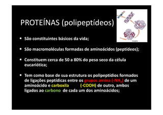 PROTEÍNAS (polipeptídeos)
• São constituintes básicos da vida;
• São macromoléculas formadas de aminoácidos (peptídeos);
• Constituem cerca de 50 a 80% do peso seco da célula
eucariótica;
• Tem como base de sua estrutura os polipeptídios formados
de ligações peptídicas entre os grupos amina (-NH2) de um
aminoácido e carboxila (-COOH) de outro, ambos
ligados ao carbono de cada um dos aminoácidos;
 
