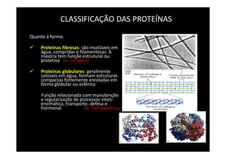 CLASSIFICAÇÃO DAS PROTEÍNAS
Quanto à forma:
Proteínas fibrosas: são insolúveis em
água, compridas e filamentosas. A
maioria tem função estrutural ou
protetiva. Ex. colágeno
Proteínas globulares: geralmente
solúveis em água, formam estruturas
compactas fortemente enroladas em
forma globular ou esférica.
Função relacionada com manutenção
e regularização de processos vitais:
enzimática, transporte, defesa e
hormonal. Ex. hemoglobina.
 
