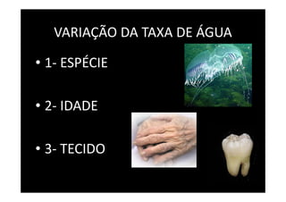 VARIAÇÃO DA TAXA DE ÁGUA
• 1- ESPÉCIE
• 2- IDADE
• 3- TECIDO
 
