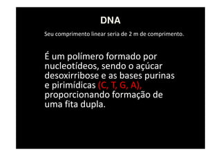 Seu comprimento linear seria de 2 m de comprimento.
É um polímero formado por
nucleotídeos, sendo o açúcar
desoxirribose e as bases purinas
e pirimídicas (C, T, G, A),
proporcionando formação de
uma fita dupla.
DNA
 