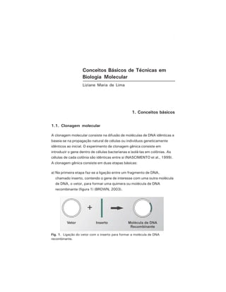 11Conceitos Básicos de Técnicas em Biologia Molecular
Conceitos Básicos de Técnicas em
Biologia Molecular
Liziane Maria de Lima
1. Conceitos básicos
1.1. Clonagem molecular
A clonagem molecular consiste na difusão de moléculas de DNA idênticas e
baseia-se na propagação natural de células ou indivíduos geneticamente
idênticos ao inicial. O experimento de clonagem gênica consiste em
introduzir o gene dentro de células bacterianas e isolá-las em colônias. As
células de cada colônia são idênticas entre si (NASCIMENTO et al., 1999).
A clonagem gênica consiste em duas etapas básicas:
a) Na primeira etapa faz-se a ligação entre um fragmento de DNA,
chamado inserto, contendo o gene de interesse com uma outra molécula
de DNA, o vetor, para formar uma quimera ou molécula de DNA
recombinante (figura 1) (BROWN, 2003).
Fig. 1. Ligação do vetor com o inserto para formar a molécula de DNA
recombinante.
 