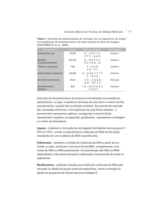 13Conceitos Básicos de Técnicas em Biologia Molecular
Esse sítio de reconhecimento da enzima é normalmente uma seqüência
palindrômica, ou seja, a seqüência de bases de uma fita é a mesma da fita
complementar, quando lida na direção contrária. As enzimas de restrição
são nomeadas conforme o microrganismo do qual foram isoladas; a
primeira letra representa o gênero, as segunda e terceira letras
representam a espécie, as seguintes, geralmente, representam a linhagem
e a ordem da descoberta.
Ligases - catalisam a formação de uma ligação fosfodiéster entre grupos 3'-
OH e 5'-PO4-, unindo covalentemente moléculas de DNA de fita dupla,
resultando em uma molécula de DNA recombinante.
Polimerases - catalisam a síntese de moléculas de DNA a partir de um
molde, ou seja, sintetizam uma nova fita de DNA, complementar a um
molde de DNA ou RNA preexistente. As polimerases são DNA ou RNA-
dependentes e são essenciais para a replicação e manutenção de todos os
organismos.
Modificadoras - catalisam reações que modificam moléculas de DNA pela
remoção ou adição de grupos químicos específicos, como a remoção ou
adição de grupamentos fosfato das extremidades 5'.
Tabela 1. Exemplos de endonucleases de restrição com os organismos de origem
e as seqüências de reconhecimento. As setas indicam os sítios de clivagem
(NASCIMENTO et al, 1999).
 