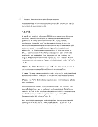 14 Conceitos Básicos de Técnicas em Biologia Molecular
Topoisomerases - modificam a conformação do DNA circular pela indução
ou remoção de superenrolamento.
1.3. PCR
A reação em cadeia da polimerase (PCR) é um procedimento rápido que
possibilita a amplificação in vitro de fragmentos de DNA específicos,
partindo-se de uma quantidade mínima de DNA alvo ou de RNA
previamente convertido em cDNA. Para a aplicação da técnica, são
necessários três segmentos de ácidos nucléicos: a dupla fita de DNA para
servir de molde e a construção de dois oligonucleotídeos (primers)
específicos - de fita simples e complementares as duas fitas molde de
DNA -, desenhados de modo a flanquear a seqüência a ser amplificada.
Além disso, são necessários DNA polimerase, dNTPs, tampão e sais
(MgCl). A técnica consiste de ciclos repetitivos; cada ciclo está dividido
nos passos apresentados na Figura 3 (AUSUBEL, et al., 2003; WEAVER,
2001).
1º passo (94-96ºC) - Desnaturação do DNA a alta temperatura, devido ao
rompimento das pontes de hidrogênio que unem as duas fitas.
2º passo (30-60ºC) - Anelamento dos primers em posições específicas (essa
temperatura é definida em função da seqüência nucleotídica dos primers).
3º passo (72-75ºC) - Extensão da seqüência a ser amplificada pela ação da
DNA polimerase.
Durante cada ciclo, as fitas complementares de DNA são copiadas pela
extensão dos primers que se anelam em posições opostas. Desta forma,
cada fita de DNA recém amplificada é usada como molde no ciclo seguinte,
resultando assim, no acúmulo exponencial do fragmento de DNA
flanqueado pelos dois primers (Figura 4).
Para o isolamento de um gene específico podem ser utilizadas diferentes
estratégias de PCR (SÁ et al., 2002; WEAVER et al., 2001): RT-PCR
 
