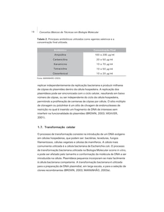 18 Conceitos Básicos de Técnicas em Biologia Molecular
Tabela 2. Principais antibióticos utilizados como agentes seletivos e a
concentração final utilizada.
Fonte: MARANHÃO (2003).
replicar independentemente da replicação bacteriana e produzir milhares
de cópias do plasmídeo dentro da célula hospedeira. A replicação dos
plasmídeos pode ser sincronizada com o ciclo celular, resultando em baixo
número de cópias, ou ser independente do ciclo da célula hospedeira,
permitindo a proliferação de centenas de cópias por célula. O sítio múltiplo
de clonagem ou polylinker é um sítio de clivagem de endonucleases de
restrição no qual é inserido um fragmento de DNA de interesse sem
interferir na funcionalidade do plasmídeo (BROWN, 2003; WEAVER,
2001).
1.7. Transformação celular
O processo de transformação consiste na introdução de um DNA exógeno
em células hospedeiras, que podem ser: bactérias, leveduras, fungos
filamentosos, células vegetais e células de mamíferos. A célula mais
comumente utilizada é a célula bacteriana de Escherichia coli. O processo
de transformação bacteriana utilizada na Biologia Molecular ocorre in vitro,
e pode ser afetado pelo tamanho e conformação da molécula de DNA a ser
introduzida na célula. Plasmídeos pequenos incorporam-se mais facilmente
à célula bacteriana competente. A transformação bacteriana é utilizada
para a preparação de DNA plasmidial, em larga escala, e para a seleção de
clones recombinantes (BROWN, 2003; MARANHÃO, 2003a).
 