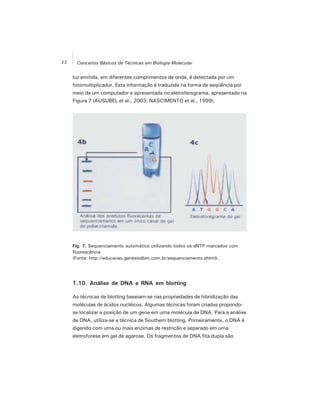 22 Conceitos Básicos de Técnicas em Biologia Molecular
luz emitida, em diferentes comprimentos de onda, é detectada por um
fotomultiplicador. Esta informação é traduzida na forma de seqüência por
meio de um computador e apresentada no eletroferograma, apresentado na
Figura 7 (AUSUBEL et al., 2003; NASCIMENTO et al., 1999).
1.10. Análise de DNA e RNA em blotting
As técnicas de blotting baseiam-se nas propriedades de hibridização das
moléculas de ácidos nucléicos. Algumas técnicas foram criadas propondo-
se localizar a posição de um gene em uma molécula de DNA. Para a análise
de DNA, utiliza-se a técnica de Southern blotting. Primeiramente, o DNA é
digerido com uma ou mais enzimas de restrição e separado em uma
eletroforese em gel de agarose. Os fragmentos de DNA fita dupla são
Fig. 7. Sequenciamento automático utilizando todos os dNTP marcados com
fluorescência
(Fonte: http://educacao.genesisdbm.com.br/sequenciamento.shtml).
 