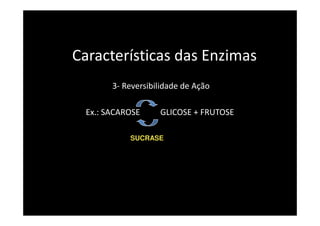 Características das Enzimas
       3- Reversibilidade de Ação

 Ex.: SACAROSE     GLICOSE + FRUTOSE

           SUCRASE
 