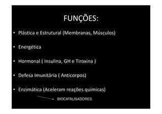 FUNÇÕES:
• Plástica e Estrutural (Membranas, Músculos)

• Energética

• Hormonal ( Insulina, GH e Tiroxina )

• Defesa Imunitária ( Anticorpos)

• Enzimática (Aceleram reações químicas)
                    BIOCATALISADORES
 