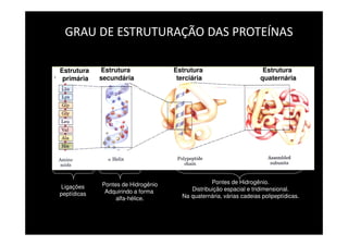 GRAU DE ESTRUTURAÇÃO DAS PROTEÍNAS

Estrutura    Estrutura              Estrutura                        Estrutura
 primária    secundária              terciária                      quaternária




             Pontes de Hidrogênio                Pontes de Hidrogênio.
Ligações                                 Distribuição espacial e tridimensional.
peptídicas    Adquirindo a forma
                  alfa-hélice.        Na quaternária, várias cadeias polipeptídicas.
 