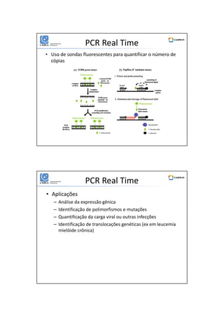 01/06/2016
10
PCR Real Time
• Uso de sondas fluorescentes para quantificar o número de
cópias
PCR Real Time
• Aplicações
– Análise da expressão gênica
– Identificação de polimorfismos e mutações
– Quantificação da carga viral ou outras infecções
– Identificação de translocações genéticas (ex em leucemia
mielóide crônica)
 