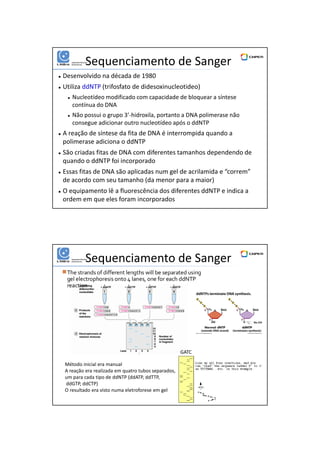01/06/2016
12
Sequenciamento de Sanger
Desenvolvido na década de 1980
Utiliza ddNTP (trifosfato de didesoxinucleotideo)
Nucleotídeo modificado com capacidade de bloquear a síntese
contínua do DNA
Não possui o grupo 3’-hidroxila, portanto a DNA polimerase não
consegue adicionar outro nucleotídeo após o ddNTP
A reação de síntese da fita de DNA é interrompida quando a
polimerase adiciona o ddNTP
São criadas fitas de DNA com diferentes tamanhos dependendo de
quando o ddNTP foi incorporado
Essas fitas de DNA são aplicadas num gel de acrilamida e “correm”
de acordo com seu tamanho (da menor para a maior)
O equipamento lê a fluorescência dos diferentes ddNTP e indica a
ordem em que eles foram incorporados
Sequenciamento de Sanger
Método inicial era manual
A reação era realizada em quatro tubos separados,
um para cada tipo de ddNTP (ddATP, ddTTP,
ddGTP, ddCTP)
O resultado era visto numa eletroforese em gel
GATC
 