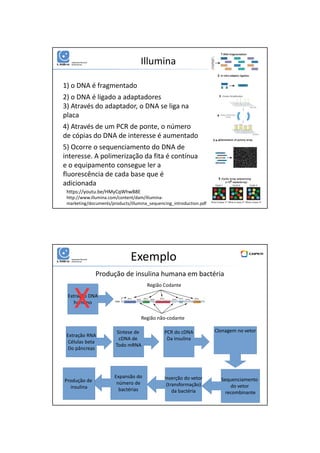 01/06/2016
14
Illumina
https://youtu.be/HMyCqWhwB8E
1) o DNA é fragmentado
2) o DNA é ligado a adaptadores
3) Através do adaptador, o DNA se liga na
placa
4) Através de um PCR de ponte, o número
de cópias do DNA de interesse é aumentado
5) Ocorre o sequenciamento do DNA de
interesse. A polimerização da fita é contínua
e o equipamento consegue ler a
fluorescência de cada base que é
adicionada
http://www.illumina.com/content/dam/illumina-
marketing/documents/products/illumina_sequencing_introduction.pdf
Exemplo
Produção de insulina humana em bactéria
Região Codante
Região não-codante
Extração RNA
Células beta
Do pâncreas
Síntese de
cDNA de
Todo mRNA
PCR do cDNA
Da insulina
Clonagem no vetor
Sequenciamento
do vetor
recombinante
Inserção do vetor
(transformação)
da bactéria
Expansão do
número de
bactérias
Produção de
insulina
Extração DNA
humano
X
 