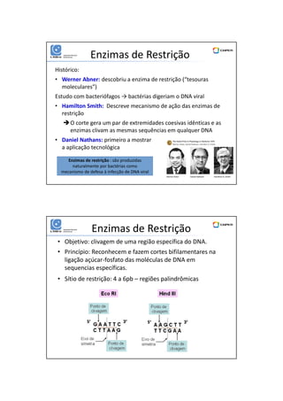 01/06/2016
4
Enzimas de Restrição
Histórico:
• Werner Abner: descobriu a enzima de restrição (“tesouras
moleculares”)
Estudo com bacteriófagos → bactérias digeriam o DNA viral
• Hamilton Smith: Descreve mecanismo de ação das enzimas de
restrição
O corte gera um par de extremidades coesivas idênticas e as
enzimas clivam as mesmas sequências em qualquer DNA
• Daniel Nathans: primeiro a mostrar
a aplicação tecnológica
Enzimas de restrição : são produzidas
naturalmente por bactérias como
mecanismo de defesa à infecção de DNA viral
Enzimas de Restrição
• Objetivo: clivagem de uma região específica do DNA.
• Princípio: Reconhecem e fazem cortes bifilamentares na
ligação açúcar-fosfato das moléculas de DNA em
sequencias específicas.
• Sítio de restrição: 4 a 6pb – regiões palindrômicas
 
