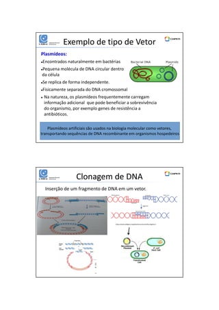 01/06/2016
6
Exemplo de tipo de Vetor
Plasmídeos:
Encontrados naturalmente em bactérias
Pequena molécula de DNA circular dentro
da célula
Se replica de forma independente.
Fisicamente separada do DNA cromossomal
Na natureza, os plasmídeos frequentemente carregam
informação adicional que pode beneficiar a sobrevivência
do organismo, por exemplo genes de resistência a
antibióticos.
Plasmídeos artificiais são usados na biologia molecular como vetores,
transportando sequências de DNA recombinante em organismos hospedeiros
Clonagem de DNA
Inserção de um fragmento de DNA em um vetor.
 