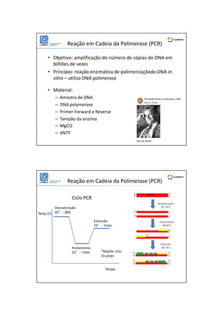 01/06/2016
7
Reação em Cadeia da Polimerase (PCR)
• Objetivo: amplificação do número de cópias do DNA em
bilhões de vezes
• Princípio: reação enzimática de polimerizaçãodo DNA in
vitro – utiliza DNA polimerase
• Material:
– Amostra de DNA
– DNA polymerase
– Primer Forward e Reverse
– Tampão da enzima
– MgCl2
– dNTP
Tempo
Temp (C)
Desnaturação
95°- 30s
Anelamento
55°- 1min
Extensão
72°- 1min
*Repete ciclo
35 vezes
Ciclo PCR
Reação em Cadeia da Polimerase (PCR)
 