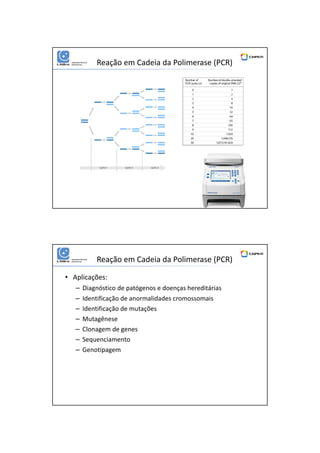 01/06/2016
8
Reação em Cadeia da Polimerase (PCR)
• Aplicações:
– Diagnóstico de patógenos e doenças hereditárias
– Identificação de anormalidades cromossomais
– Identificação de mutações
– Mutagênese
– Clonagem de genes
– Sequenciamento
– Genotipagem
Reação em Cadeia da Polimerase (PCR)
 