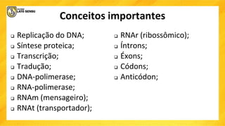 Conceitos importantes
 Replicação do DNA;
 Síntese proteica;
 Transcrição;
 Tradução;
 DNA-polimerase;
 RNA-polimerase;
 RNAm (mensageiro);
 RNAt (transportador);
 RNAr (ribossômico);
 Íntrons;
 Éxons;
 Códons;
 Anticódon;
 