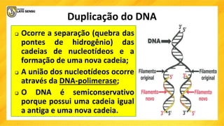Duplicação do DNA
 Ocorre a separação (quebra das
pontes de hidrogênio) das
cadeias de nucleotídeos e a
formação de uma nova cadeia;
 A união dos nucleotídeos ocorre
através da DNA-polimerase;
 O DNA é semiconservativo
porque possui uma cadeia igual
a antiga e uma nova cadeia.
 