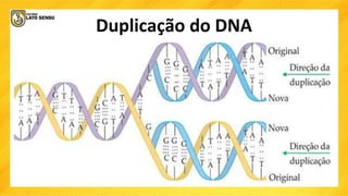 Duplicação do DNA
 
