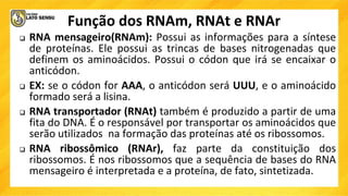 Função dos RNAm, RNAt e RNAr
 RNA mensageiro(RNAm): Possui as informações para a síntese
de proteínas. Ele possui as trincas de bases nitrogenadas que
definem os aminoácidos. Possui o códon que irá se encaixar o
anticódon.
 EX: se o códon for AAA, o anticódon será UUU, e o aminoácido
formado será a lisina.
 RNA transportador (RNAt) também é produzido a partir de uma
fita do DNA. É o responsável por transportar os aminoácidos que
serão utilizados na formação das proteínas até os ribossomos.
 RNA ribossômico (RNAr), faz parte da constituição dos
ribossomos. É nos ribossomos que a sequência de bases do RNA
mensageiro é interpretada e a proteína, de fato, sintetizada.
 