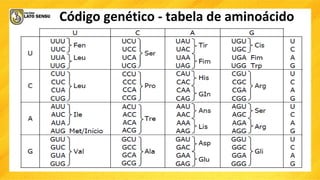 Código genético - tabela de aminoácido
 