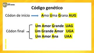 Código genético
Códon de início Amo Uma Grana AUG
Um Amor Grande UAG
Códon final Um Grande Amor UGA
Um Amor Ana UAA
 
