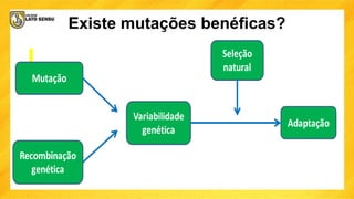 Existe mutações benéficas?
 