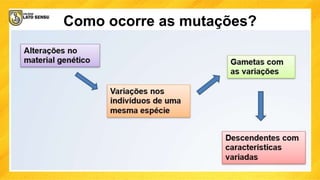 Como ocorre as mutações?
 