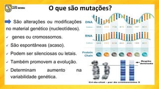 O que são mutações?
São alterações ou modificações
no material genético (nucleotídeos).
 genes ou cromossomos.
 São espontâneas (acaso).
 Podem ser silenciosas ou letais.
 Também promovem a evolução.
 Determinam aumento na
variabilidade genética.
 