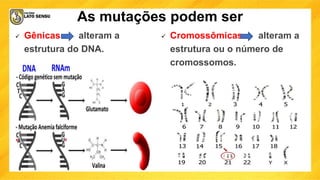 As mutações podem ser
 Gênicas alteram a
estrutura do DNA.
 Cromossômicas alteram a
estrutura ou o número de
cromossomos.
 