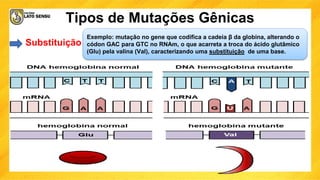 Tipos de Mutações Gênicas
Substituição uma base nitrogenada foi substituída por outra.
Exemplo: mutação no gene que codifica a cadeia β da globina, alterando o
códon GAC para GTC no RNAm, o que acarreta a troca do ácido glutâmico
(Glu) pela valina (Val), caracterizando uma substituição de uma base.
 
