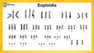 Euploidia
 