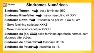 Síndromes Numéricas
Síndrome Turner sexo feminino 45X
Síndrome Klinefelter sexo masculino 47 XXY
Síndrome Down trissomia do par 21 + XX ou XY
 Sexo feminino cariótipo XX+21.
 Sexo masculino cariótipo XY+21.
Síndrome do (47, XXX) sexo feminino aparência normal, com
algumas alterações.
Síndrome de Edwards trissomia do 18.
Síndrome de Patau trissomia do 13.
 