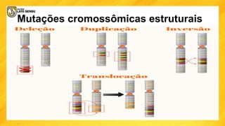Mutações cromossômicas estruturais
 