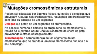 Mutações cromossômicas estruturais
Podem ser causadas por agentes físicos, químicos e biológicos que
provocam rupturas nos cromossomos, resultando em cromossomos
com falta ou excesso de um segmento
Deleção é a perda de um segmento do cromossomo.
Na espécie humana a deleção do braço curto do cromossomo 5.
resulta na Síndrome Cri-du-Chat ou Síndrome do choro do gato,
provocando o atraso neuropsicomotor.
Translocação é a transferência de um segmento de um
cromossomo, que se prende a um outro cromossomo que não é o
seu homólogo.
 