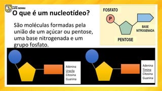 O que é um nucleotídeo?
São moléculas formadas pela
união de um açúcar ou pentose,
uma base nitrogenada e um
grupo fosfato.
 