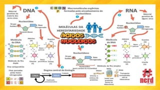 BIOLOGIA MOLECULAR 3ANO.pptx