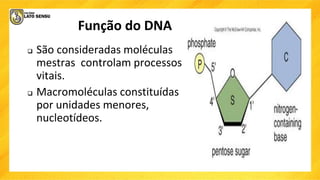 Função do DNA
 São consideradas moléculas
mestras controlam processos
vitais.
 Macromoléculas constituídas
por unidades menores,
nucleotídeos.
 