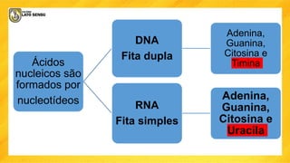 Ácidos
nucleicos são
formados por
nucleotídeos
DNA
Fita dupla
Adenina,
Guanina,
Citosina e
Timina
RNA
Fita simples
Adenina,
Guanina,
Citosina e
Uracila
 