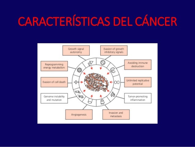 Biologia molecular del cancer