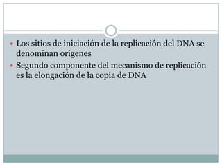 Productos genicos activados por E2F al final de la fase G1:<br />Dihidrofolato reductasa ( DHFR)<br />DNA polimerasa α<br ...