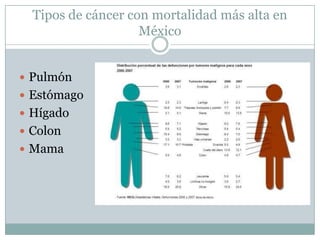 Tipos de cáncer con mortalidad más alta en México<br />Pulmón<br />Estómago<br />Hígado<br />Colon <br />Mama<br />