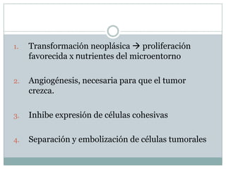 3.-ETAPA DE PROGRESION<br />Se caracteriza por el establecimiento de  una neoplasia  maligna de carácter irreversible<br /...