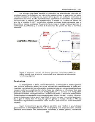 Armendáriz Borunda y cols.
167
Las técnicas moleculares aplicadas al diagnóstico de enfermedades infecciosas en
ocasiones superan las limitaciones que imponen los organismos para su aislamiento. Los ácidos
nucleicos microbianos extraídos de una muestra clínica pueden ser analizados para buscar la
presencia de secuencias de DNA específicas de los organismos sin importar los requerimientos
fisiológicos para la viabilidad de los organismos [16]. El análisis y la clonación del genoma del
virus de la hepatitis C (HCV) ha permitido conseguir antígenos virales necesarios para el
desarrollo de pruebas serológicas. Actualmente, las técnicas de biología molecular permiten la
identificación, cuantificación y el análisis de la secuencia del genoma de HCV en individuos
infectados.
Figura 3. Diagnóstico Molecular. Las técnicas generadas por la Biología Molecular
ofrecen ventajas sobre las técnicas convencionales en el diagnóstico de enfermedades
hereditarias y adquiridas.
Terapia génica
La terapia génica se define como la transferencia o introducción de material genético
para modificar el repertorio genético de células, destinada a curar enfermedades de origen tanto
hereditario como adquirido. Las enfermedades posibles de tratar con esta estrategia terapéutica
incluyen desde las monogénicas hereditarias hasta las poligénicas e infecciosas; dada esta
diversidad, cada enfermedad requiere un abordaje particular. Las opciones en la manipulación
genética son variadas e incluyen la adición o supresión de genes. La adición de genes (insertar
un gen funcional que exprese la proteína terapéutica en el tejido indicado), incluye la corrección
de genes defectuosos, insertar genes para inducir funciones nuevas o incrementar la expresión
de un gen de interés. Por otro lado, la supresión génica se realiza a través de RNA de
interferencia, oligonucleótidos anti-sentido o bien ribozimas para disminuir o anular la expresión
de genes.
Según el procedimiento que se aplique a las células para introducir el gen, la terapia
génica se divide en terapia génica ex vivo e in vivo (Figura 4). En la terapia ex vivo las células a
transfectar son cultivadas para posteriormente introducirles el material genético; una vez que
 