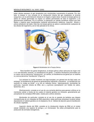 MENSAJE BIOQUÍMICO, Vol. XXXII (2008)
168
estas células expresan el gen terapéutico son introducidas nuevamente al paciente. Por otro
lado; la terapia in vivo consiste en la introducción directa del gen terapéutico al torrente
sanguíneo o en la administración directa en el órgano o tejido diana. Cuando la terapia génica se
aplica en células germinales se origina un cambio permanente de todo el organismo y en
generaciones posteriores. Por el contrario, la aplicación en células somáticas implica que solo
tejidos u órganos sean transfectados mediante administración sistémica, inyección directa o
previa extirpación del tejido. Este tipo de terapia génica se aplica a prácticamente cualquiera de
las células del organismo y es la más aplicada en la clínica.
Figura 4. Modalidades de la Terapia Génica.
Para transferir los genes terapéuticos, la terapia génica utiliza vehículos de origen viral
o no viral llamados vectores. La transferencia de genes y cambios fenotípicos provocados por
un vector viral se denomina “transducción”; en cambio, la transferencia de genes por un sistema
no viral se denomina “transfección” (Figura 5).
Los vectores no virales muestran una baja toxicidad y en general son de bajo costo; sin
embargo, la transferencia de genes es generalmente ineficiente y transitoria. La transfección por
vectores no virales se divide a su vez en métodos físicos (electroporación, bombardeo de
partículas, inyección directa de DNA, etc.) y químicos (precipitación con fosfato de calcio,
liposomas, etc.).
Electroporación; consiste en el uso de una corriente eléctrica para generar orificios en la
membrana celular a través de los cuales el material genético se introduce, generalmente por
precipitación de complejos DNA-sales. Usada para cultivos celulares.
Bombardeo de partículas; consiste en el uso de un aparato de balística que dispara
micropartículas de oro rodeadas de DNA plasmidico; estas partículas atraviesan la pared celular
depositando el material genético en el citoplasma. Es el método de elección para la transfección
de células vegetales.
Inyección directa del DNA; consiste en la introducción directa de DNA en el núcleo
celular mediante una especie de jeringa y un microscopio. Se utiliza principalmente para la
producción de animales transgénicos.
 