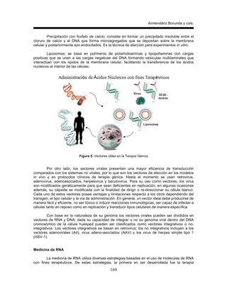 Armendáriz Borunda y cols.
169
Precipitación con fosfato de calcio; consiste en formar un precipitado insoluble entre el
cloruro de calcio y el DNA que forma microagregados que se depositan sobre la membrana
celular y posteriormente son endocitados. Es la técnica de elección para experimentos in vitro.
Liposomas; se basa en polímeros de poliamidoaminas y lipopoliaminas con cargas
positivas que se unen a las cargas negativas del DNA formando vesículas multilaminales que
interactúan con los lípidos de la membrana celular, facilitando la transferencia de los ácidos
nucleicos al interior de las células.
Figura 5. Vectores útiles en la Terapia Génica
Por otro lado, los vectores virales presentan una mayor eficiencia de transducción
comparados con los sistemas no virales, por lo que son los vectores de elección en los modelos
in vivo y en protocolos clínicos de terapia génica. Hasta el momento se usan retrovirus,
adenovirus, adenoasociados, herpesvirus y baculovirus. Para su uso como vectores, los virus
son modificados genéticamente para que sean deficientes en replicación; en algunas ocasiones
además, su cápside es modificada con la finalidad de dirigir o re-direccionar su célula blanco.
Cada uno de estos vectores posee ventajas y limitaciones respecto a los otros dependiendo del
transgen, el tipo celular y la vía de administración. En general, un vector ideal debe producirse de
manera fácil y eficiente, no ser tóxico o inducir reacciones inmunológicas, ser capaz de infectar a
células tanto en reposo como en replicación y transducir tipos celulares de manera específica.
Con base en la naturaleza de su genoma los vectores virales pueden ser divididos en
vectores de RNA y DNA; dada su capacidad de integrar o no su genoma viral dentro del DNA
cromosómico de la célula huésped pueden ser clasificados como vectores integrativos o no-
integrativos. Los vectores integrativos se basan en retrovirus; los no integrativos incluyen a los
vectores adenovirales (Ad), virus adeno-asociados (AAV) y los virus de herpes simple tipo 1
(HSV-1).
Medicina de RNA
La medicina de RNA utiliza diversas estrategias basadas en el uso de moléculas de RNA
con fines terapéuticos. De estas estrategias, la primera en ser desarrollada fue la terapia
 