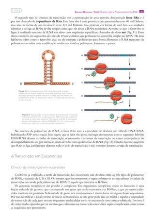 10Biologia Molecular · Texto 4 Transcrição e Processamento do RNA
O segundo tipo de término da transcrição tem a participação de uma proteína denominada fator Rho e é
por isso chamado de dependente de Rho. Esse fator rho é uma proteína com aproximadamente 40 mil Daltons,
mas atua na forma de um hexâmero com 275 mil Daltons. Essa proteína em forma de anel tem seis unidades
idênticas e se liga ao RNA de fita simples assim que ele deixa a RNA polimerase.Acredita-se que o fator rho se
ligue à molécula nascente de RNA em sítios com sequências específicas, chamados de sítios rut (Fig. 11). Esses
sítios consistem em segmentos de cerca de 40 nucleotídeos que permanecem como fita simples no RNA. Há duas
hipóteses sobre como o fator rho atua: ou ele empurra a polimerase para frente, liberando o RNA transcrito da
polimerase ou induz uma modificação conformacional na polimerase, levando-a a pausar.
Na ausência da polimerase do RNA, o fator Rho tem a capacidade de desfazer um híbrido DNA/RNA,
hidrolisando ATP nessa reação. Isso sugere que o fator rho possa interagir diretamente com o segmento híbrido
DNA/RNA dentro da bolha de transcrição, ocasionando o término da transcrição, ou como consequência do
desemparelhamento ou por interação direta de Rho com a polimerase do RNA (Fig.11).Estudos recentes sugerem
que Rho se liga à polimerase durante todo o ciclo de transcrição, e não somente durante a etapa de terminação.
A Transcrição em Eucariontes
O início da transcrição em eucariontes
Conforme já explicado, a tarefa da transcrição dos eucariontes está dividida entre os três tipos de polimerase
do RNA, chamadas de I, II e III. Os eventos que descreveremos a seguir referem-se ao mecanismo de início da
transcrição executada pela polimerase do RNA II, aquela que sintetiza os RNAm.
Os genomas eucarióticos são grandes e complexos. Em organismos complexos, como os humanos, é uma
fração reduzida do genoma que corresponde aos genes que serão transcritos em RNAm, e que ao serem tradu-
zidos resultam em proteínas.A densidade de genes nos cromossomos é muito baixa em alguns desses organismos.
Por isso, identificar o local correto de início da transcrição de um gene pode não ser trivial e regular a intensidade
de transcrição de cada gene em um organismo multicelular torna-se uma tarefa com certeza sofisticada. Por isso, é
de certo modo esperado que os eventos que culminam na transcrição eucariótica sejam complicados, assim como
as sequências nos promotores.
Figura 10. Os sinalizadores do término de transcrição incluem
regiões palindrômicas, ricas em citosinas e guaninas, que formam
alças tipo grampo de cabelo (hairpins) no RNA, as quais variam em
comprimento entre 7 e 20 pares de bases, e uma sequência terminal
rica em uracilas.
Figura 11. Esquema de um dos modelos do processo de terminação
mediada pelo fator Rho. A polimerase do RNA transcreve o DNA (a).
Ao surgir o sítio rut no transcrito, Rho liga-se a ele (b). A polimerase
pausa e rho desenrola o híbrido DNA-RNA (d). Com o término da
transcrição, todos os componentes são liberados (e).
 