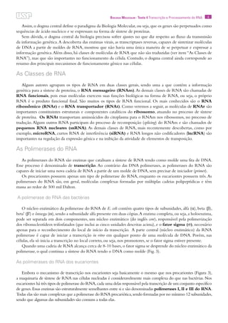 4Biologia Molecular · Texto 4 Transcrição e Processamento do RNA
Assim,o dogma central define o paradigma da Biologia Molecular,ou seja,que os genes são perpetuados como
sequências de ácido nucleico e se expressam na forma de síntese de proteínas.
Sem dúvida, o dogma central da biologia precisou sofrer ajustes no que diz respeito ao fluxo da transmissão
da informação genética.A descoberta das enzimas virais, as transcriptases reversas, capazes de sintetizar moléculas
de DNA a partir de moldes de RNA, mostrou que não havia uma única maneira de se perpetuar e expressar a
informação genética.Além disso, há classes de moléculas de RNA que não são traduzidas (ver item “As Classes de
RNA”), mas que são importantes no funcionamento da célula. Contudo, o dogma central ainda corresponde ao
resumo dos principais mecanismos de funcionamento gênico nas células.
As Classes de RNA
Alguns autores agrupam os tipos de RNA em duas classes gerais, sendo uma a que contém a informação
genética para a síntese de proteína, o RNA mensageiro (RNAm).As demais classes de RNA são chamadas de
RNA funcionais, pois essas moléculas exercem suas funções biológicas na forma de RNA, ou seja, o próprio
RNA é o produto funcional final. São muitos os tipos de RNA funcional. Os mais conhecidos são o RNA
ribossômico (RNAr) e o RNA transportador (RNAt). Como veremos a seguir, as moléculas de RNAr são
importantes constituintes estruturais e componentes catalíticos do ribossomo, atuando no processo de síntese
de proteína. Os RNAt transportam aminoácidos do citoplasma para o RNAm nos ribossomos, no processo de
tradução.Alguns outros RNA participam do processo de recomposição (splicing) do RNAm e são chamados de
pequenos RNA nucleares (snRNA). As demais classes de RNA, mais recentemente descobertas, como por
exemplo, microRNA, curtos RNA de interferência (siRNA) e RNA longos não codificadores (lncRNA) são
importantes na regulação da expressão gênica e na inibição da atividade de elementos de transposição.
As Polimerases do RNA
As polimerases do RNA são enzimas que catalisam a síntese de RNA tendo como molde uma fita de DNA.
Esse processo é denominado de transcrição. Ao contrário das DNA polimerases, as polimerases do RNA são
capazes de iniciar uma nova cadeia de RNA a partir de um molde de DNA, sem precisar de iniciador (primer).
Os procariontes possuem apenas um tipo de polimerase do RNA, enquanto os eucariontes possuem três.As
polimerases do RNA são, em geral, moléculas complexas formadas por múltiplas cadeias polipeptídicas e têm
massa ao redor de 500 mil Dalton.
A polimerase do RNA das bactérias
O núcleo enzimático da polimerase do RNA de E. coli contém quatro tipos de subunidades, alfa (α), beta (β),
beta' (β') e ômega (ω),sendo a subunidade alfa presente em duas cópias.A enzima completa,ou seja,a holoenzima,
pode ser separada em dois componentes, um núcleo enzimático (do inglês core), responsável pela polimerização
dos ribonucleotídeos trifosfatados (que inclui as cinco unidades descritas acima), e o fator sigma (σ), necessário
apenas para o reconhecimento do local de início da transcrição. A parte central (núcleo enzimático) da RNA
polimerase é capaz de iniciar a transcrição in vitro em qualquer ponto de uma molécula de DNA. Porém, nas
células, ela só inicia a transcrição no local correto, ou seja, nos promotores, se o fator sigma estiver presente.
Quando uma cadeia de RNA alcança cerca de 8-10 bases, o fator sigma se desprende do núcleo enzimático da
polimerase, o qual continua a síntese do RNA tendo o DNA como molde (Fig. 3).
As polimerases do RNA dos eucariontes
Embora o mecanismo de transcrição nos eucariontes seja basicamente o mesmo que nos procariontes (Figura 3),
a maquinaria de síntese de RNA nas células nucleadas é consideravelmente mais complexa do que nas bactérias. Nos
eucariontes há três tipos de polimerase do RNA,cada uma delas responsável pela transcrição de um conjunto específico
de genes.Essas enzimas são estruturalmente semelhantes entre si e são denominadas polimerases I, II e III do RNA.
Todas elas são mais complexas que a polimerase do RNA procariótica,sendo formadas por no mínimo 12 subunidades,
sendo que algumas das subunidades são comuns a todas elas.
 